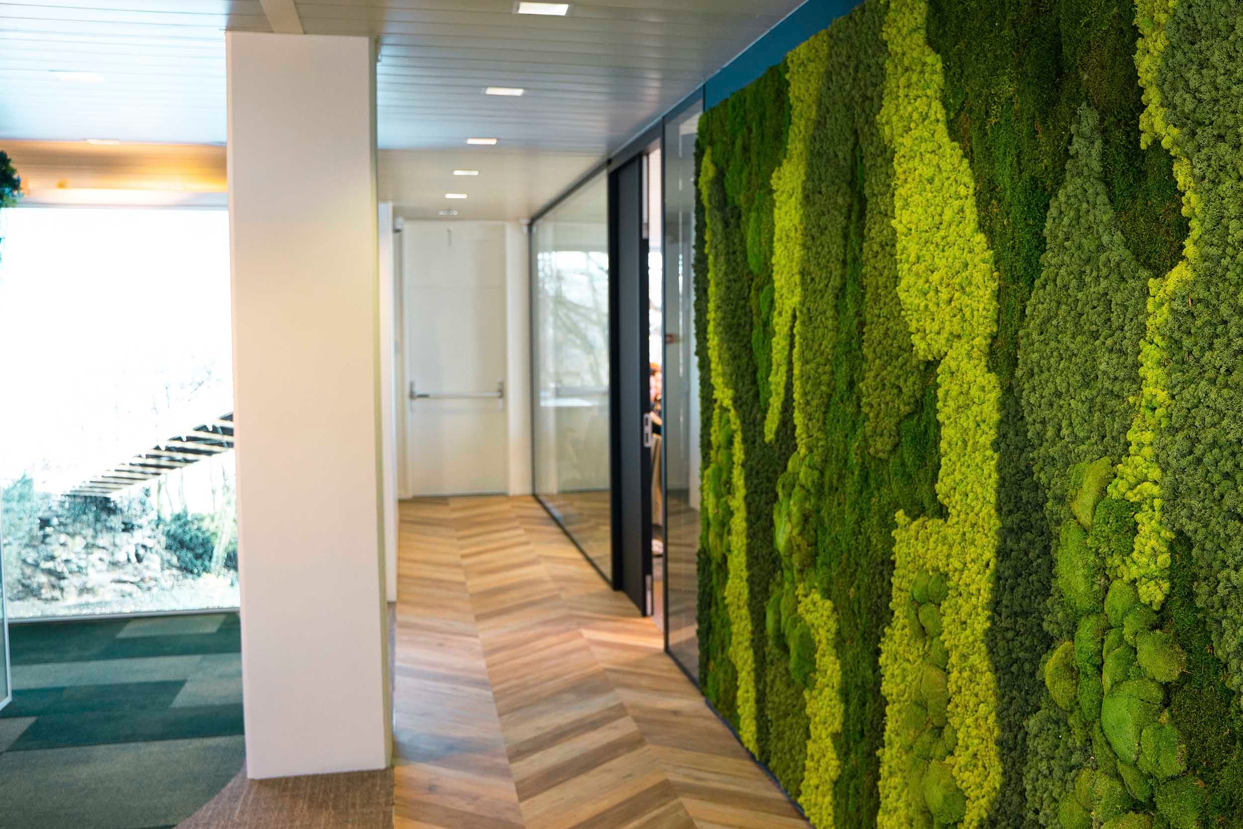 Office wall with plants