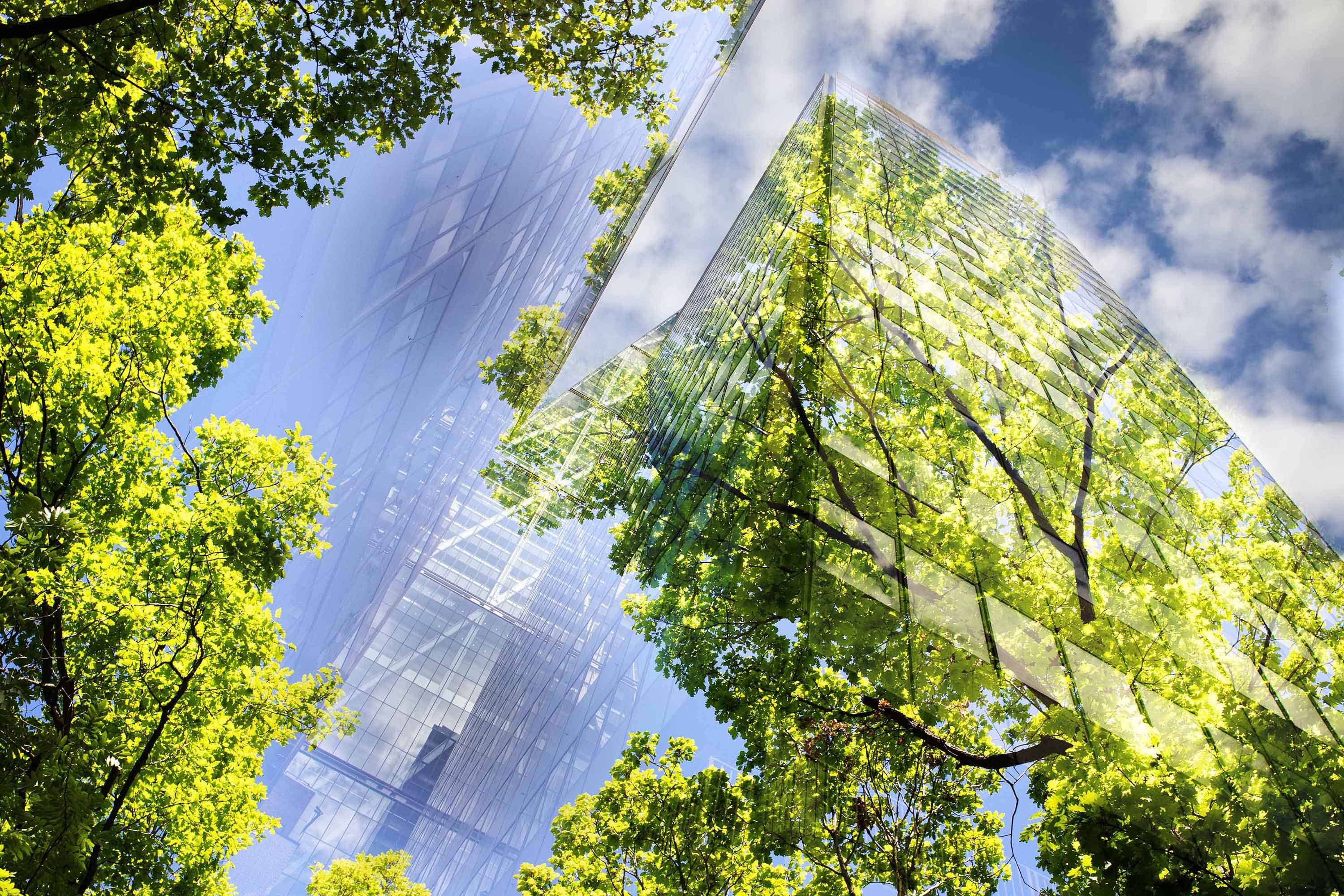 building green right