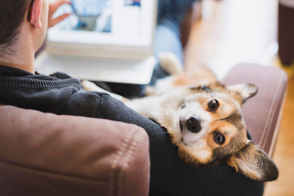 Reduce Stress and Increase Productivity