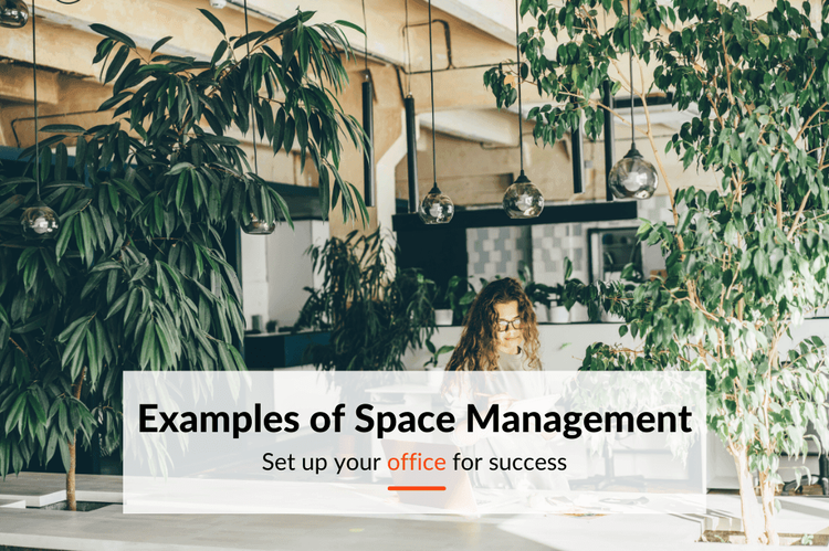 Examples of excellent space management