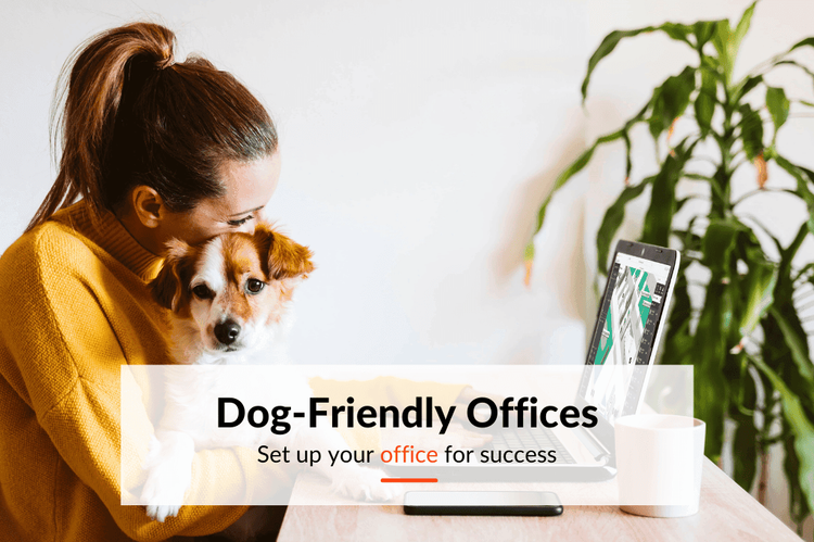 Guide on How to Create a Dog-Friendly Office Space