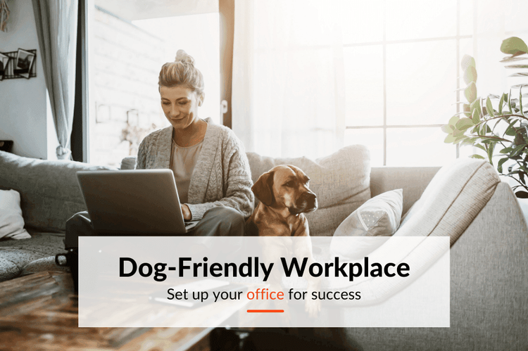 The case for converting your company to a dog-friendly workplace