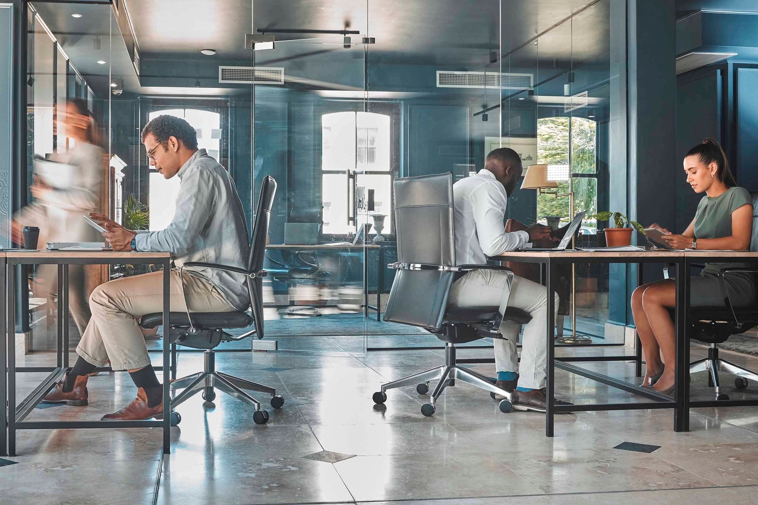 colleagues working in a office with hot desking